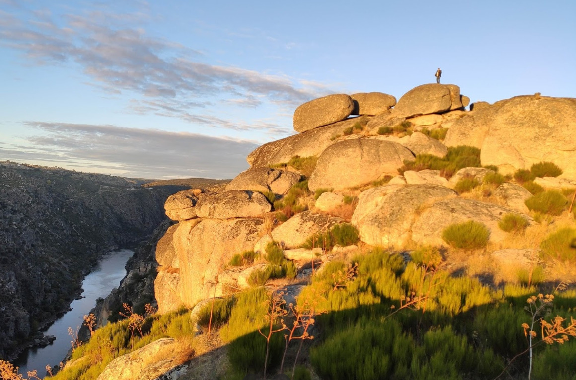 109743477Master Peña redonda