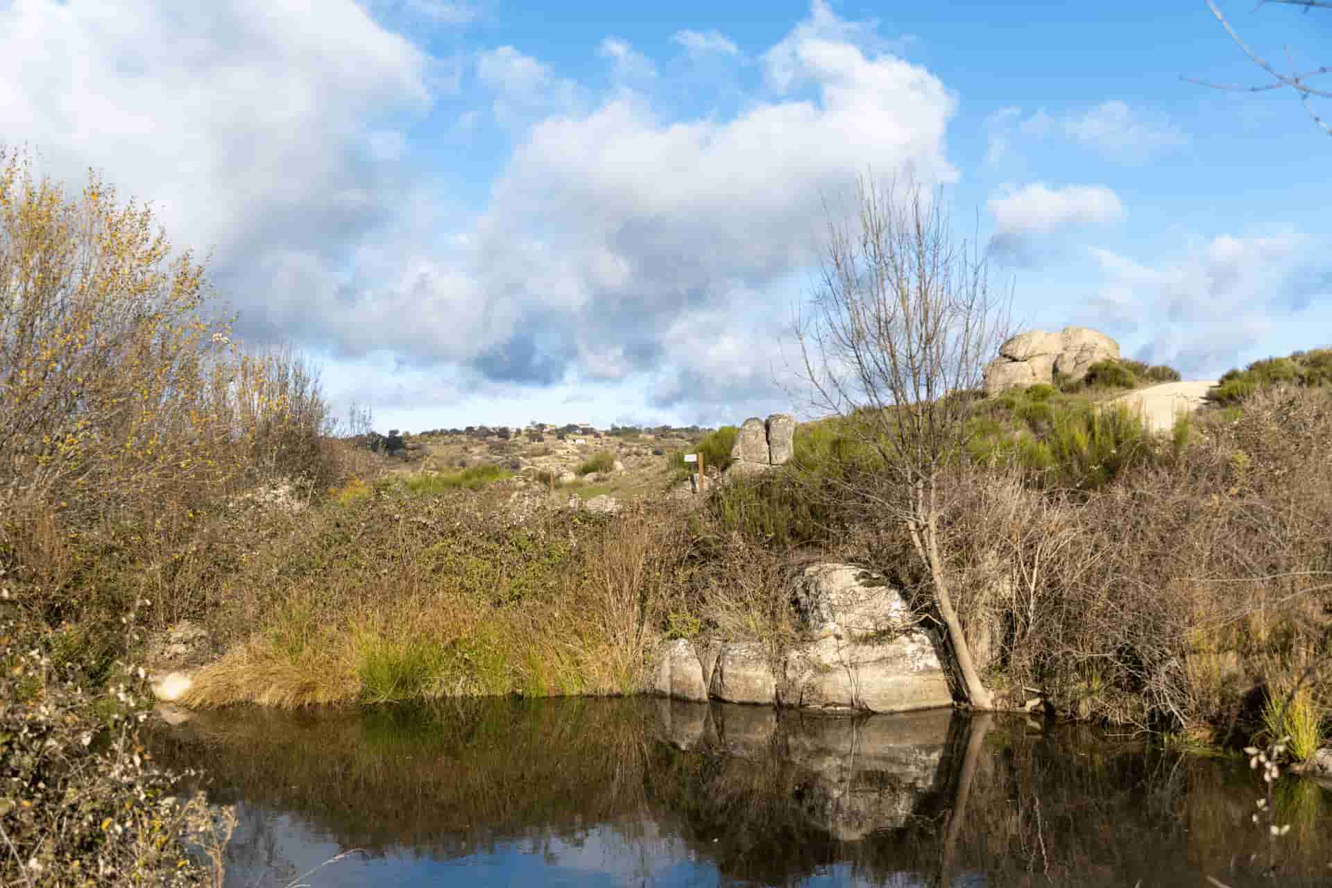 RCF00948 Peña redonda
